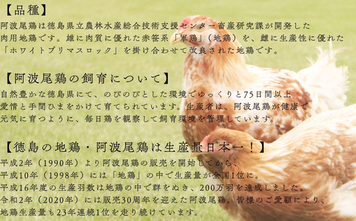  AWAODORILAB３種３０食　 ガパオ１０食　バターチキンカレー１０食　 ごちそうカレー １０食　 常温 レトルト