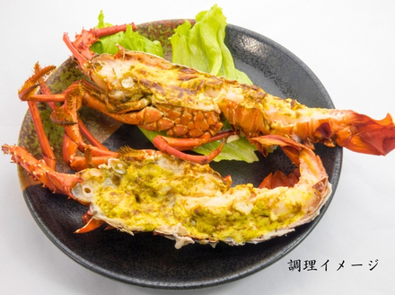 【春期50セット限定】水産庁長官賞受賞！日和佐町漁協直送「天然活伊勢えび」たっぷり1kg（3～5尾）【４月中に獲れ次第発送分】伊勢海老 伊勢えび イセエビ 海老 天然 活 訳あり 1kg 徳島県 美波町 日和佐 産地直送 魚介類 海鮮 数量限定 期間限定 先行予約 お歳暮 お正月 お祝い