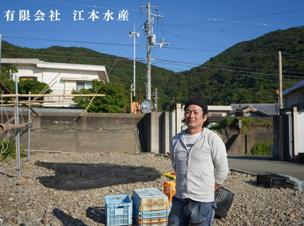  漁師たつ兄のアオリの沖漬け２本