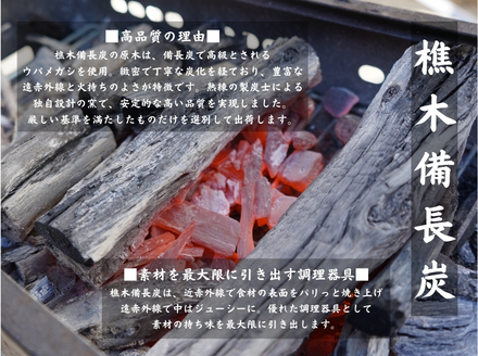 【徳島県産】美波町の森が育んだ「樵木（こりき）備長炭」で焼き上げる。外はパリッ、中はふっくら。職人手焼きの極上うなぎ（大きめ2尾）ふるさと納税 うなぎ 鰻 蒲焼 国産 徳島県 美波町 炭火焼 備長炭 手焼き 大きめ 高級 絶品 お取り寄せ ギフト 土用の丑 SDGs サステナブル 環境保全 伝統　ウナギ