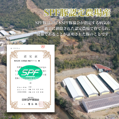 豚ハンバーグと粗びきウインナーセット