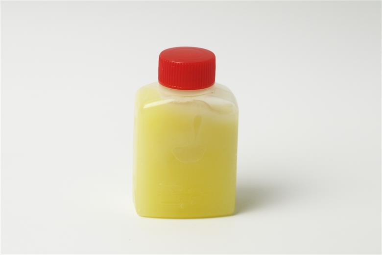 阿波尾鶏骨付地鶏２本（鶏油付き）