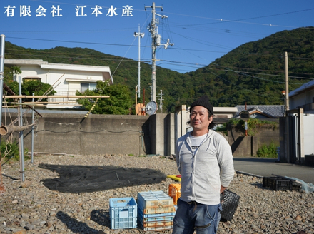 漁師「たつ兄」の詰合せセット（全4種）