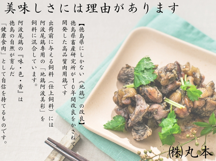  阿波尾鶏炭火焼300ｇ