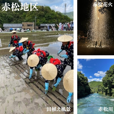 源流の郷　赤松のお米　新米9月発送「赤松大田楽奉納米」コシヒカリ玄米30キロ