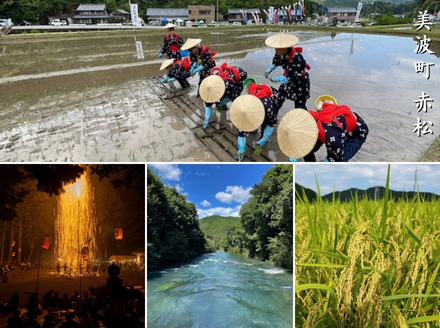 源流の郷　赤松のお米　新米収穫後　9月発送「赤松大田楽奉納米」5kg