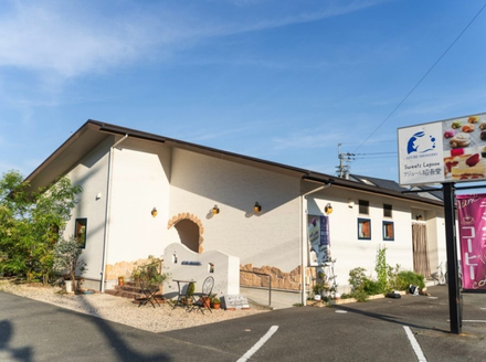 チーズケーキ６号【冷凍便】