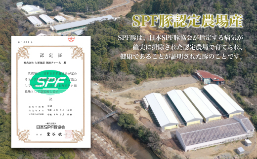 本気豚使用 ロールキャベツ 32個（4個×8パック）