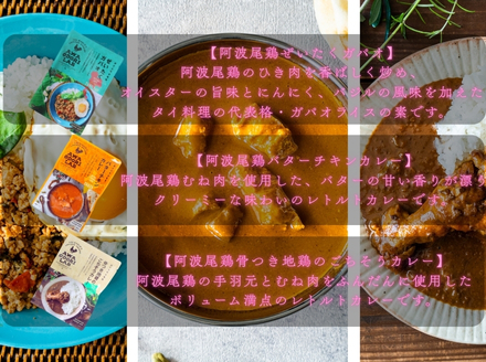 AWAODORILAB３種９食　 ガパオ３食　バターチキンカレー３食　 ごちそうカレー ３食　 常温 レトルト