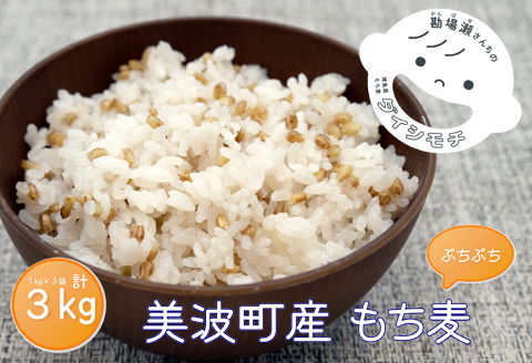 美波町産 もち麦 3kg（1kg×3袋）