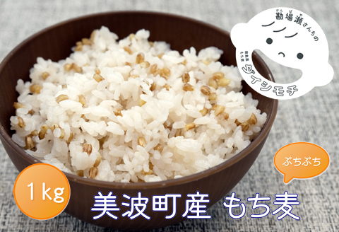 美波町産「もち麦」と伊座利産「あらめ入佃煮」のセット（もち麦1kg+あらめ入佃煮6本）