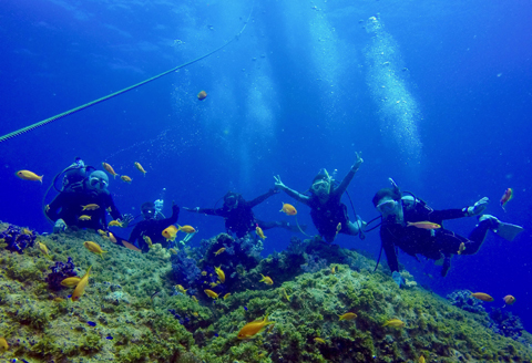徳島・日和佐ダイナミック２ボートダイビング（ダイバーコース）