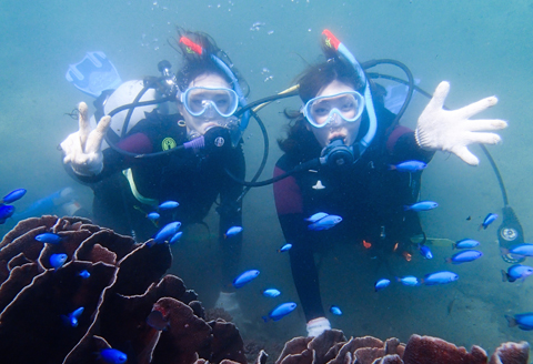 徳島・日和佐NAUIスクーバダイバー認定コース（資格取得コース）３日間講習