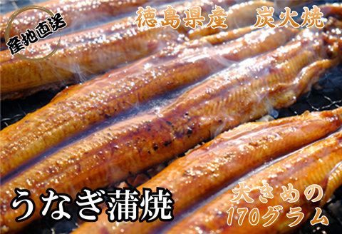 徳島県産 うなぎ蒲焼 こだわりの炭火焼 大きめ５匹
