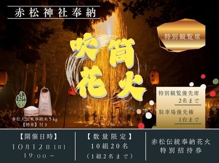 【数量限定】赤松伝統奉納花火の特別招待券_徳島県美波町