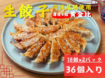 阿波尾鶏薄皮生餃子36個入（18個入×2Ｐ）1セット