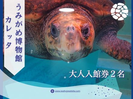 日和佐うみがめ博物館カレッタ入館券　【大人２名分】