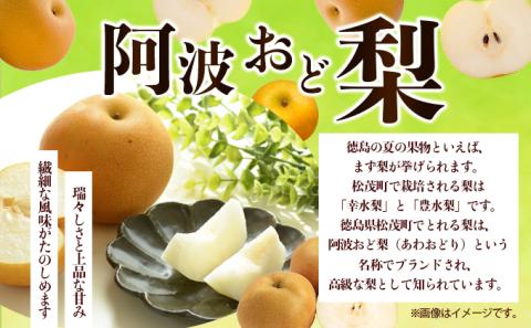 松茂町産　梨（阿波おど梨）5kg　徳島 幸水梨 豊水梨 なし ナシ 果物 フルーツ 夏 旬