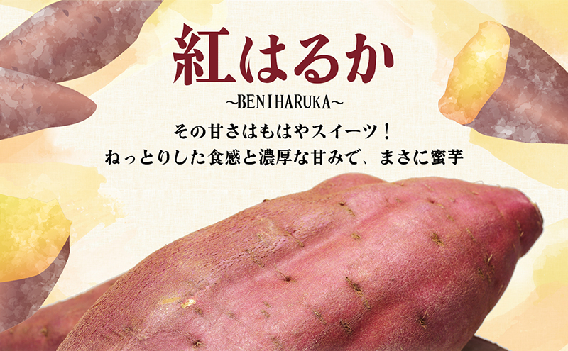 喜来やさい園の熟成紅はるか 1kg