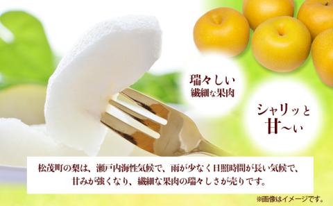 松茂町産　梨（阿波おど梨）5kg　徳島 幸水梨 豊水梨 なし ナシ 果物 フルーツ 夏 旬