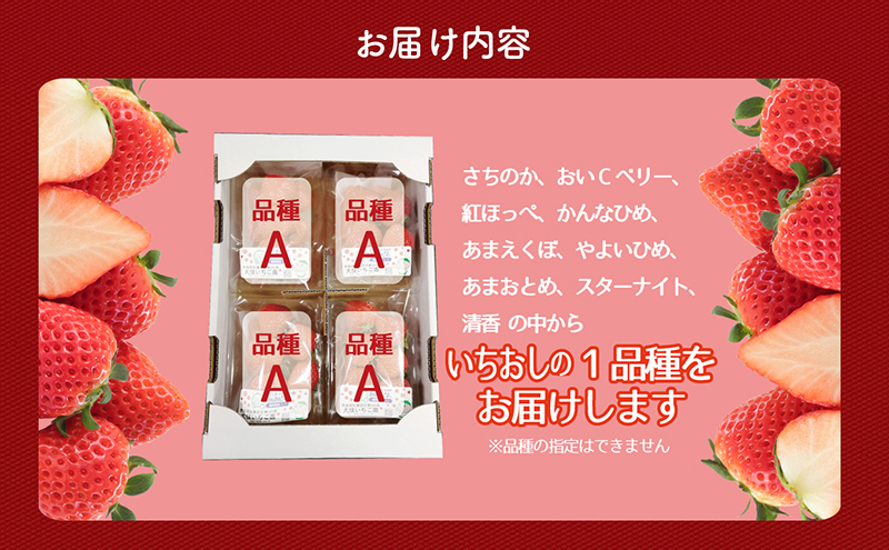 いちごのいちおし1品種4パック　250g×4パック　『とくしま安2（安全・安心）GAP農産物』優秀認定取得