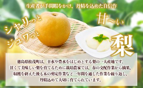 松茂町産　梨（阿波おど梨）5kg　徳島 幸水梨 豊水梨 なし ナシ 果物 フルーツ 夏 旬