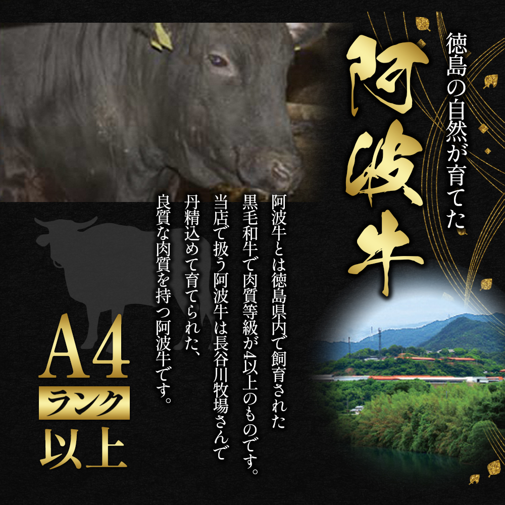 阿波牛たれ漬け焼肉300g