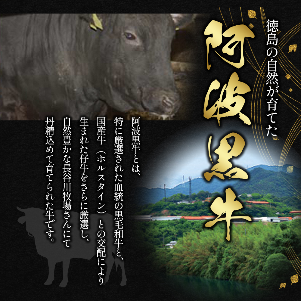 阿波黒牛たれ漬け焼肉300g