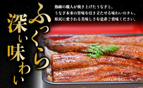 うなぎ蒲焼 3尾入