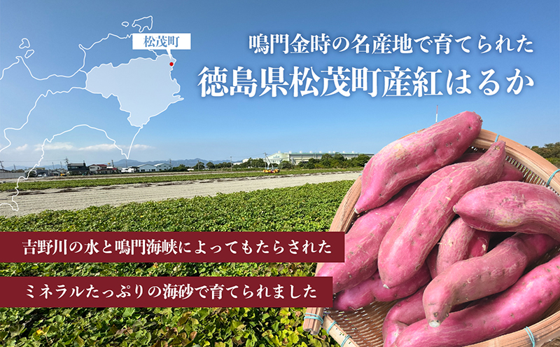 喜来やさい園の熟成紅はるか 1kg