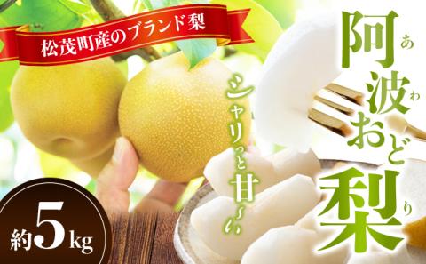 松茂町産　梨（阿波おど梨）5kg　徳島 幸水梨 豊水梨 なし ナシ 果物 フルーツ 夏 旬