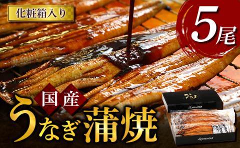 うなぎ蒲焼 5尾入