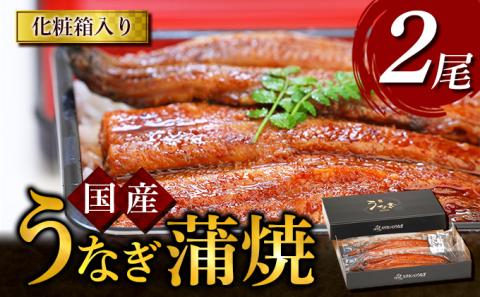 うなぎ蒲焼 2尾入　鰻 ウナギ 蒲焼き ギフト 贈答品 お歳暮 正月 うな丼 鰻丼 うな重 鰻重 ひつまぶし 国産 お中元
