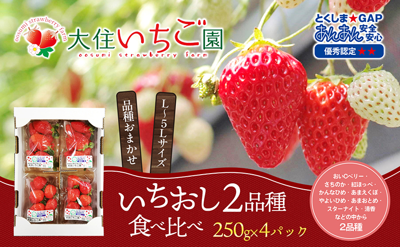 個性派いちご2品種食べ比べセット　250g×4パック　『とくしま安2（安全・安心）GAP農産物』優秀認定取得