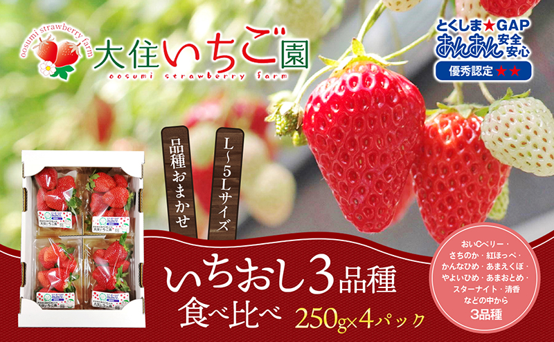 個性派いちご3品種食べ比べセット　250g×4パック　『とくしま安2（安全・安心）GAP農産物』優秀認定取得