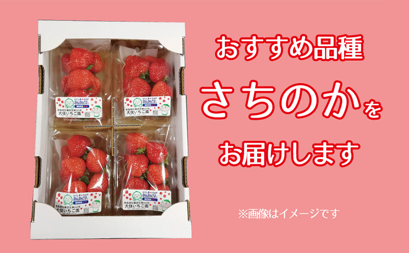 おすすめ品種「さちのか」4パック　250g×4パック　『とくしま安２（安全・安心）農産物』優秀認定取得