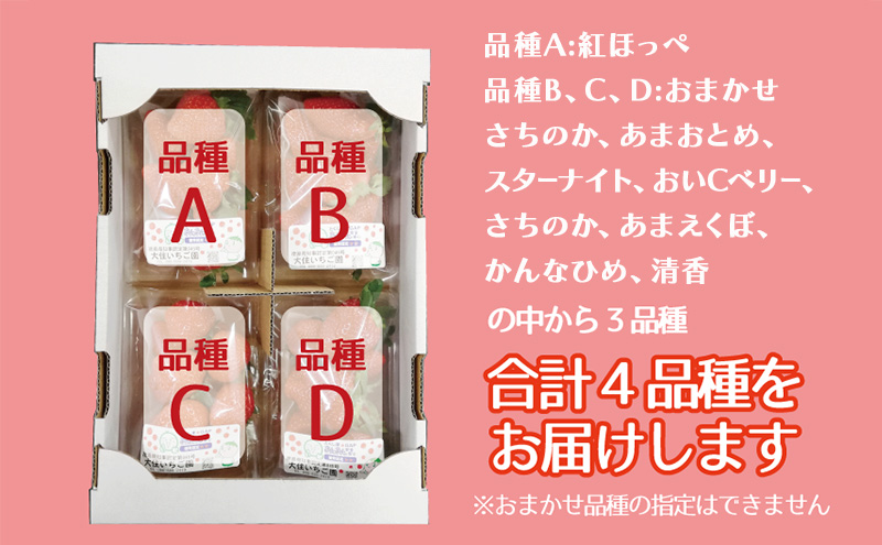「紅ほっぺ」+3品種　個性派いちご4品種食べ比べセット　250g×4パック　『とくしま安２（安全・安心）農産物』優秀認定取得
