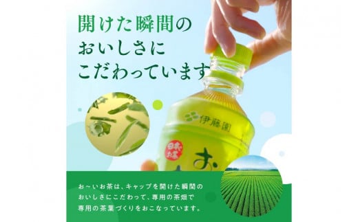 お茶 ペットボトル 定期便 お～いお茶 緑茶 レンジ対応 345ml 24本 6回 総計144本 [伊藤園 徳島支店 徳島県 北島町 29an0006] 茶 ミニサイズ ミニ サイズ ボトル