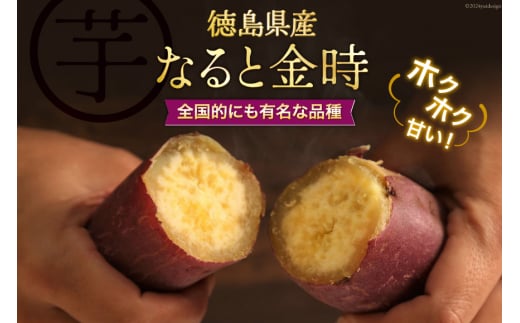 【大人気！】 さつまいも なると金時 5kg [天野 均典 徳島県 北島町 29bc0001] サツマイモ さつま芋 お芋 鳴門金時 焼き芋 甘藷 丸十