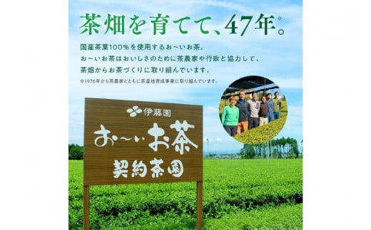 お茶 ペットボトル 定期便 お～いお茶 緑茶 レンジ対応 345ml 24本 6回 総計144本 [伊藤園 徳島支店 徳島県 北島町 29an0006] 茶 ミニサイズ ミニ サイズ ボトル