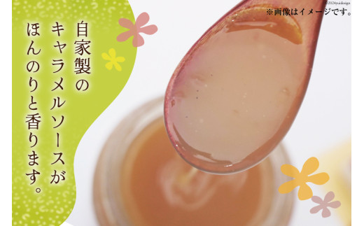 菓子 キャラメル むしどら 12入箱 [春藤製菓舗 徳島県 北島町 29ax0004] お菓子 おかし 和菓子 スイーツ どら焼き どらやき あんこ 餡