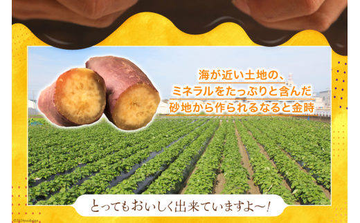 【大人気！】 さつまいも なると金時 5kg [天野 均典 徳島県 北島町 29bc0001] サツマイモ さつま芋 お芋 鳴門金時 焼き芋 甘藷 丸十