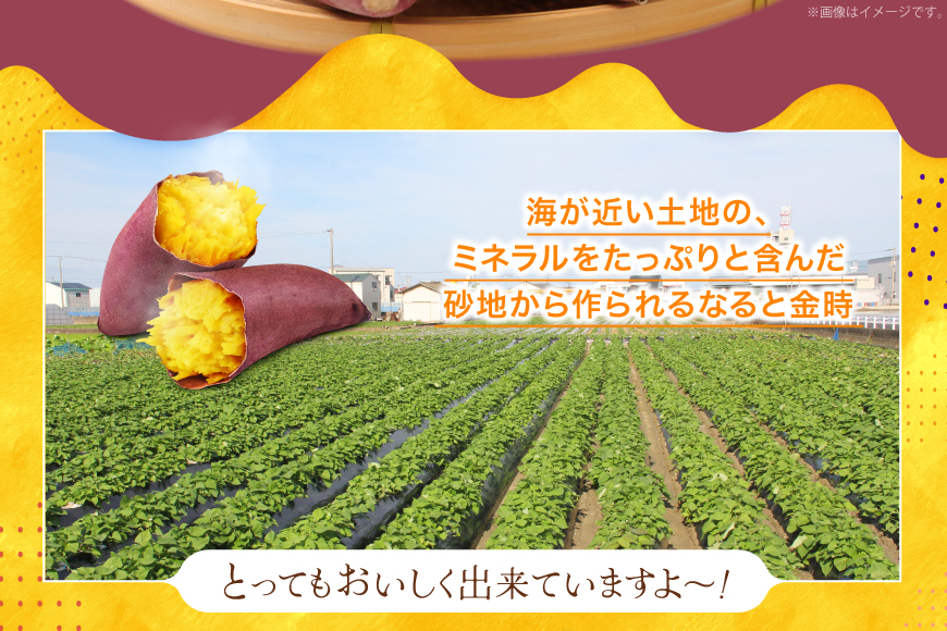 【大人気！】 さつまいも なると金時 5kg [北島町役場 徳島県 北島町 29bb0001] サツマイモ さつま芋 鳴門金時 ホクホク 焼き芋 天ぷら 大学芋 スイートポテト おやつ かんしょ