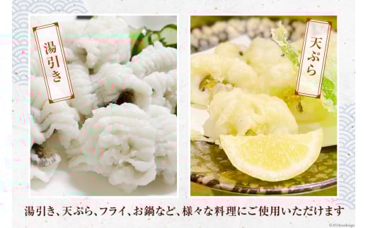 鱧 定期便 カット済み 骨切り 鱧切り身 1kg 3回 総計3kg [とり信 徳島県 北島町 29aj0018] 切り身 冷凍 国産 ハモ はも 骨切り