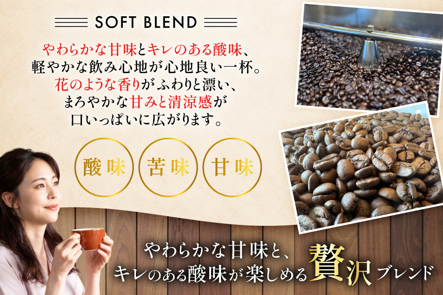 コーヒー豆 ソフトブレンド 中煎り 80g 2p [日出蔵 徳島県 北島町 29ar0018] コーヒー 珈琲 珈琲豆