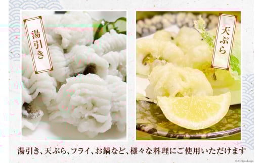 鱧 ( ハモ ) 切り身 1kg [とこ丸 徳島県 北島町 29bj0002] 魚 魚介 サカナ さかな 骨切り カット 切身