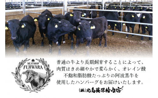 ハンバーグ 冷凍 阿波黒牛入り 老舗お肉屋 手ごねハンバーグ 箱入り 150g 5個 3回 定期便 [北島藤原精肉店 徳島県 北島町 29al0030] 肉 惣菜 手ごね 阿波黒牛 阿波 おかず 手作り