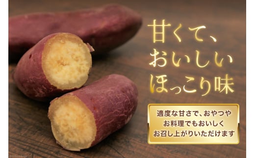 【大人気！】 さつまいも なると金時 5kg [天野 均典 徳島県 北島町 29bc0001] サツマイモ さつま芋 お芋 鳴門金時 焼き芋 甘藷 丸十