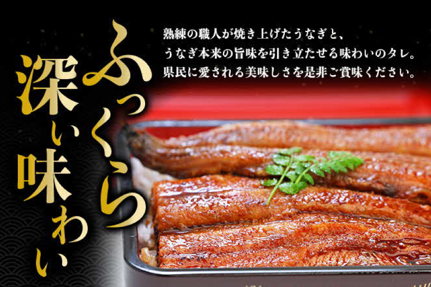 うなぎ 国産 うなぎ蒲焼き 3尾 [モリカン 徳島県 北島町 29bh0002] ウナギ 鰻 unagi うなぎ蒲焼 真空パック 真空 パック 冷蔵