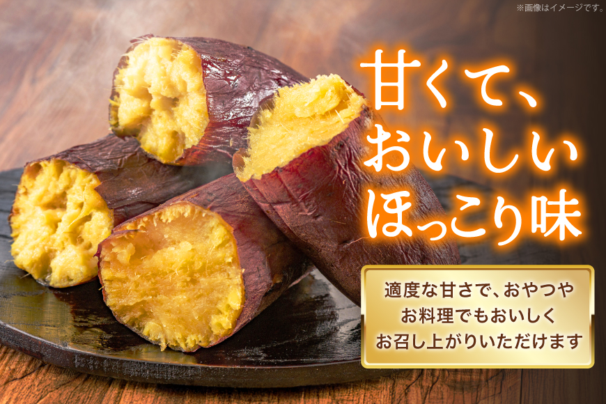 【大人気！】 さつまいも なると金時 5kg [北島町役場 徳島県 北島町 29bb0001] サツマイモ さつま芋 鳴門金時 ホクホク 焼き芋 天ぷら 大学芋 スイートポテト おやつ かんしょ